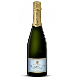 Champagne Brut - Delamotte