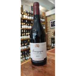 Bourgogne 2023 - Domaine...