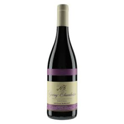 Gevrey-Chambertin "Les...