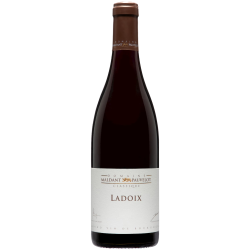 Ladoix 2023 - Domaine...